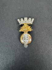 British Army Royal Irish