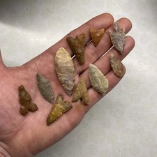 MLC s8397 (10) Neolithic