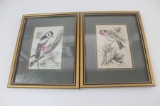 J & J Cash Ltd Coventry Great Spotted Woodpecker & Goldfinch pictures (1006)