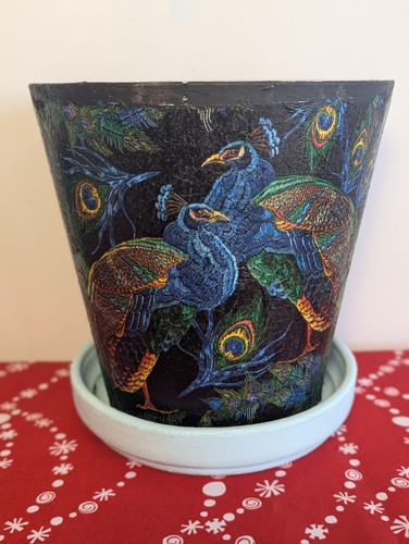 Large plant pot - large, pot,pot