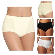 Sloggi Control Maxi Brief