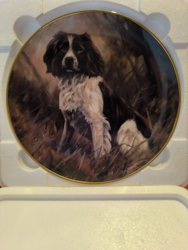 Danbury mint springer spaniel - danbury,