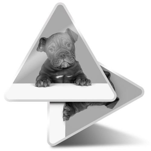 Triangle stickers 10cm - triangle,