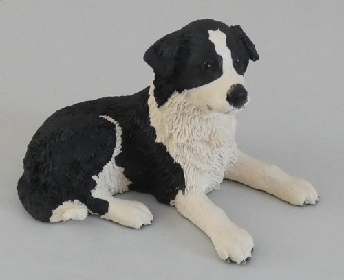 Pups galore border - galore, collie