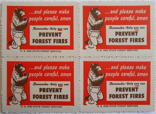 Smokey bear praying poster - bear,