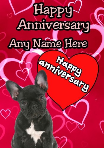 Black french bulldog pup - black,