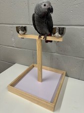 Parrot supplies small - parrot-supplies,