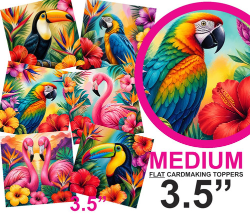 Tropical birds birthday card - tropical,