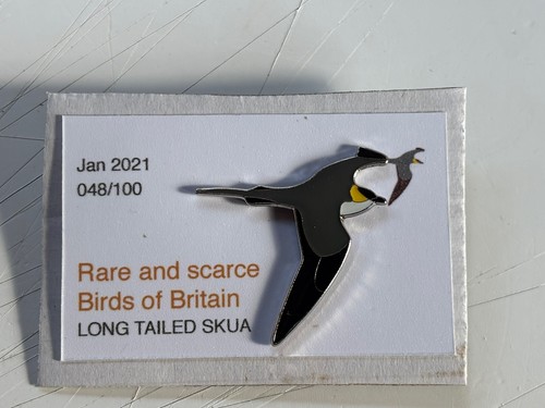 Rspb interest long tailed skua - rspb,