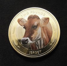 2024  £2 Jersey  Cow colour print Brilliant UNC  from Mint set RARE