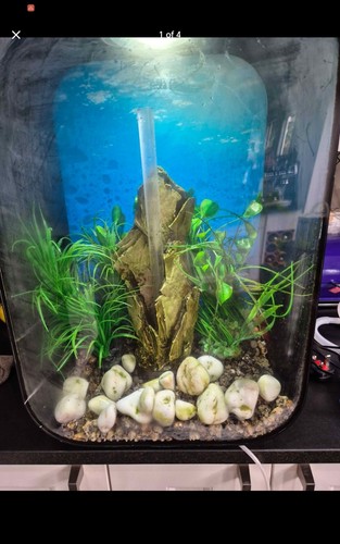Bio orb life - bio,