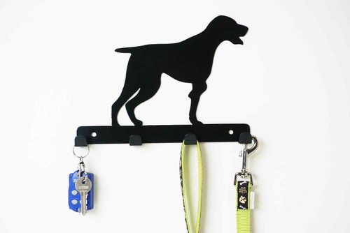 Pointer dog lead - pointer, key