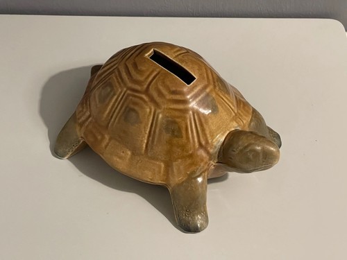 Vintage tortoise money - money, bank