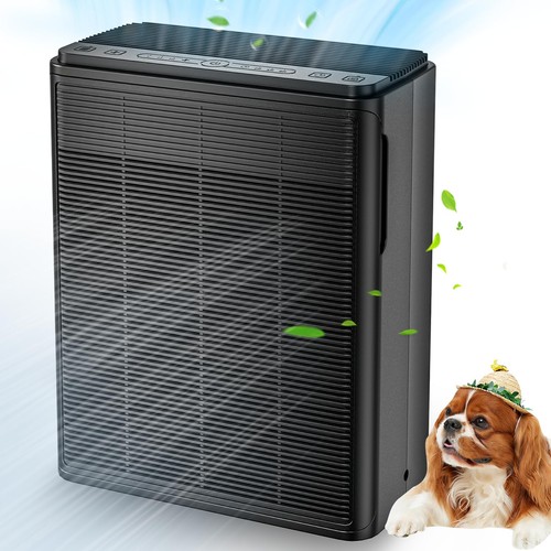 Air purifiers for - purifiers, home