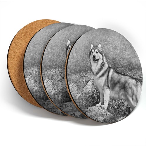 Coasters bw alaskan - 4,