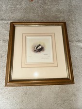 Mandy Shepherd  Limited Edition Print Of Badger Head Detail