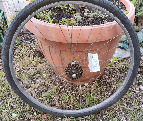 Rear sport wheel women - rear,