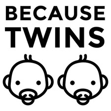 Vinyl Decal Car Truck Sticker