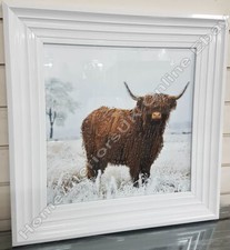 Highland cow wall art decorative picture with liquid art and white step frame