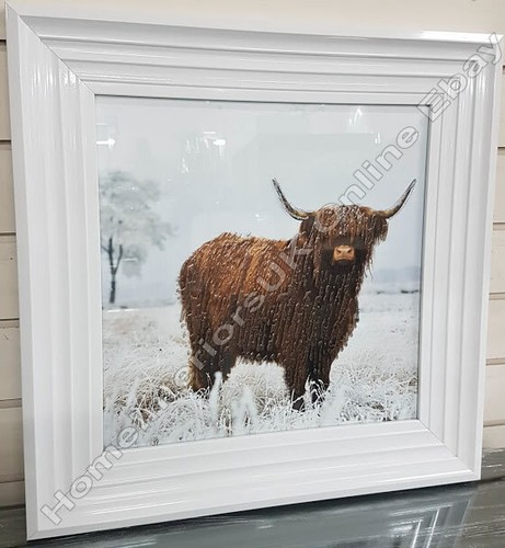 Highland cow wall art