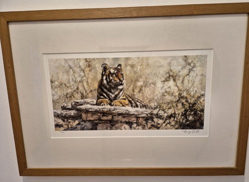 Regal gaze signed limited - gaze,