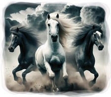 Wild running horses  CAMPER