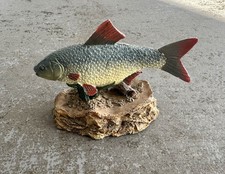 Roach - The Anglers Showcase Collection - Danbury Fishing Angling (Not A Book)