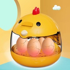 Eggs incubator practical - incubator,