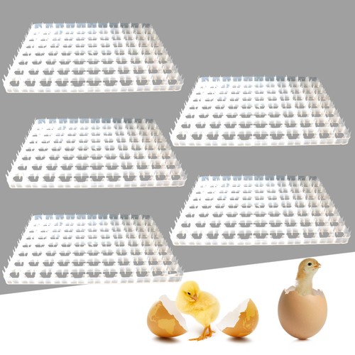 5pcs for egg hatching - for,