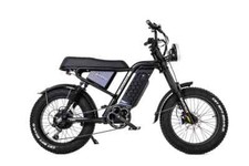 20" Electric Mountain Bike