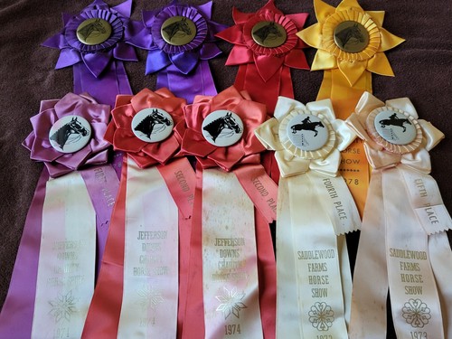 Vintage charity horse - vintage,