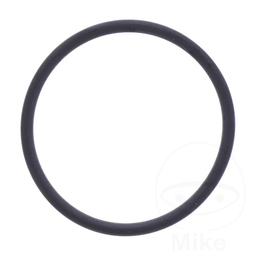 Athena exhaust gasket ring - exhaust,