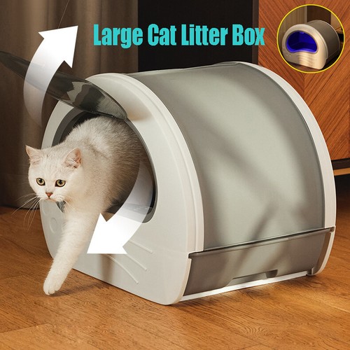 Large cat litter - cat,