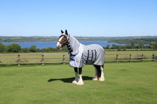 Ruggles heavy horse ultra - horse,