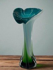 Jack in the Pulpit Calla Lilly