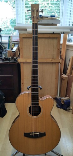 Tanglewood dbt acoustic - dbt, bw