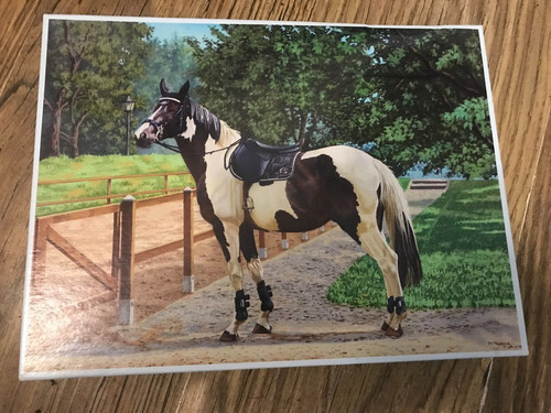 Piebald horse 1000 piece - piebald,