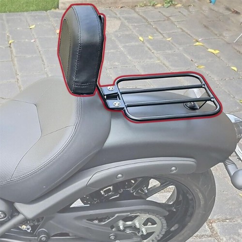 Sissy bar with luggage - with,