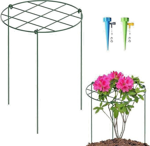 Pack round plant - 2,