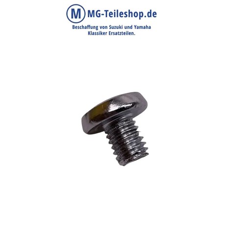 Blind bolt screw - blind,