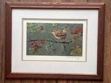 Trevor Boyer Signed Framed Print Of A Wren - Wildlife Bird Decorative Picture