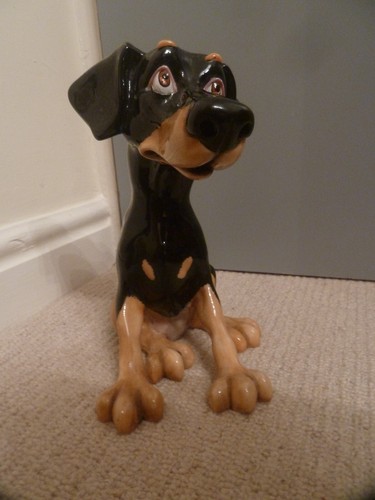 Heavy pet with personality - a,