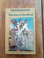 The Eye of the Wind