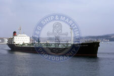 Ship Photo - 1965 Built BP