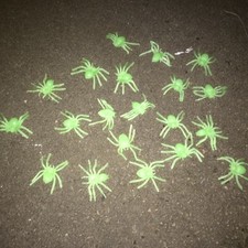 20X GLOW IN THE DARK SPIDERS