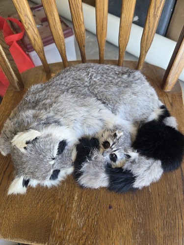 Real fur mother - fur, baby