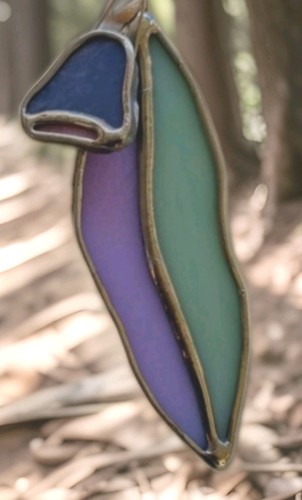 Eucalyptus leaf flower - eucalyptus, &