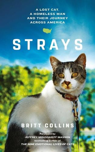 Strays the true story a - story,