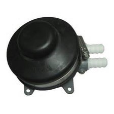 Genuine Whale Babyfoot