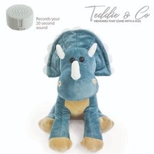 Message Recording Dinosaur